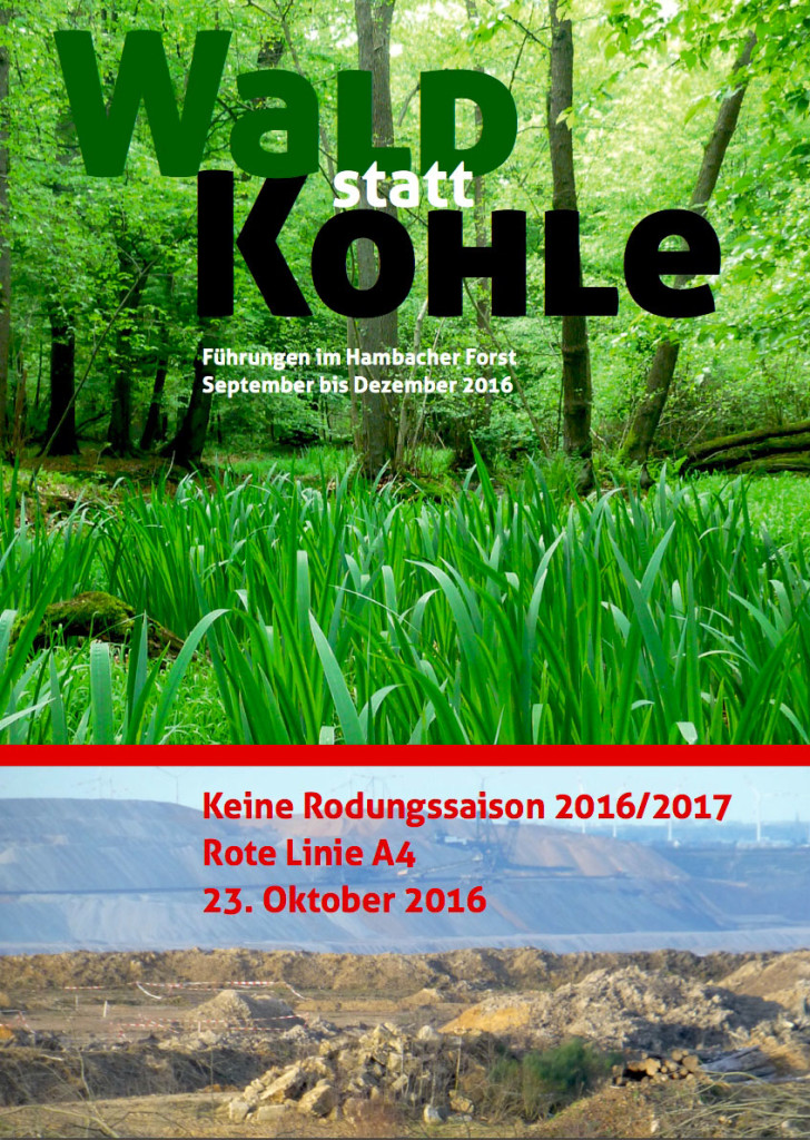 waldstattkohle_rotelinie_a